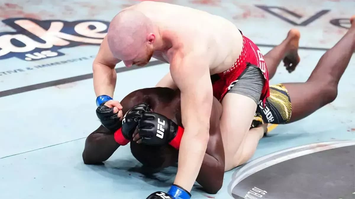 Пайфер победил Адесанью в главном поединке турнира UFC Пайфер победил Адесанью в главном поединке турнира UFC