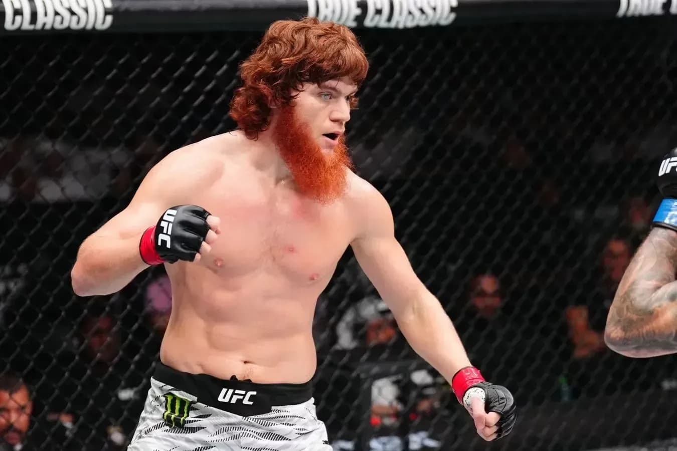 Шара Буллет победил Перейру на турнире UFC Шара Буллет победил Перейру на турнире UFC