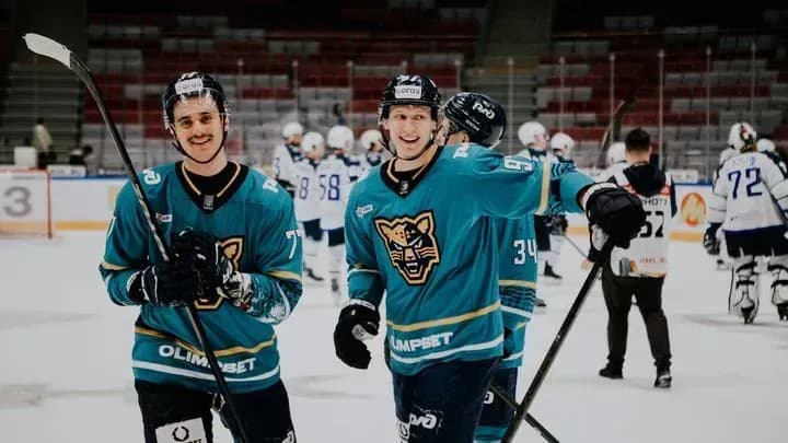 «Авангард» уступил «Сочи» в матче КХЛ «Авангард» уступил «Сочи» в матче КХЛ