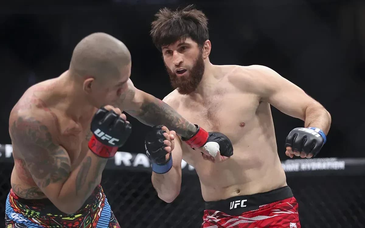 Анкалаев сенсационно проиграл бой Перейре Анкалаев сенсационно проиграл бой Перейре