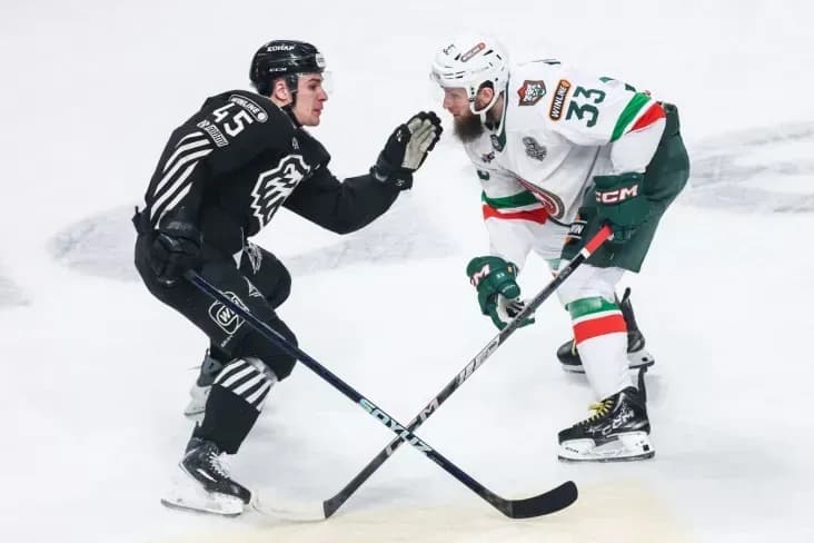 «Ак Барс» в овертайме переиграл «Трактор» в серии Кубка Гагарина «Ак Барс» в овертайме переиграл «Трактор» в серии Кубка Гагарина