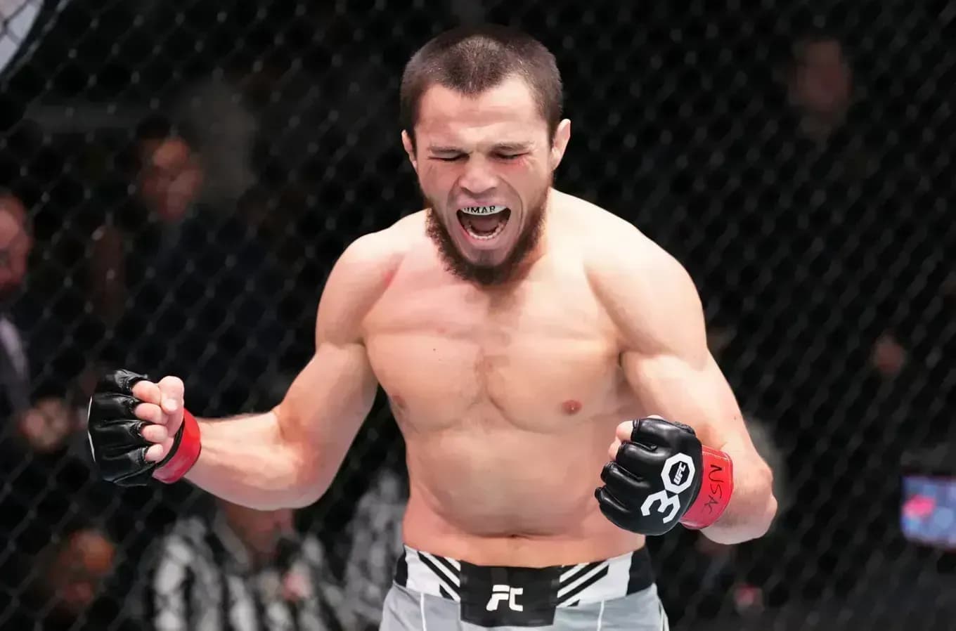 Нурмагомедов возглавил рейтинг UFC в легчайшем весе Нурмагомедов возглавил рейтинг UFC в легчайшем весе